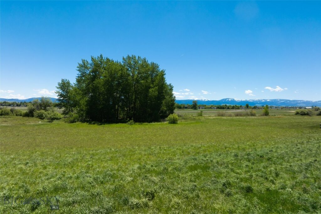 TBD E Riparian Way, Bozeman MT 59718