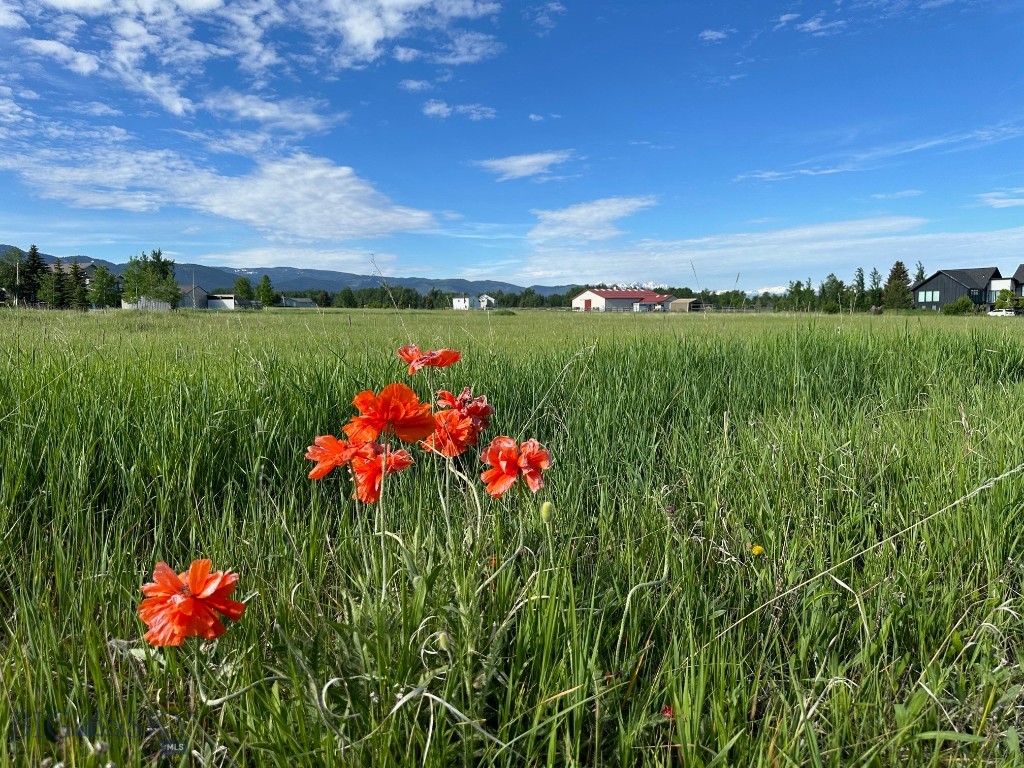 TBD Johnson Road, Bozeman MT 59718