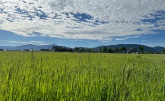 TBD Johnson Road, Bozeman MT 59718