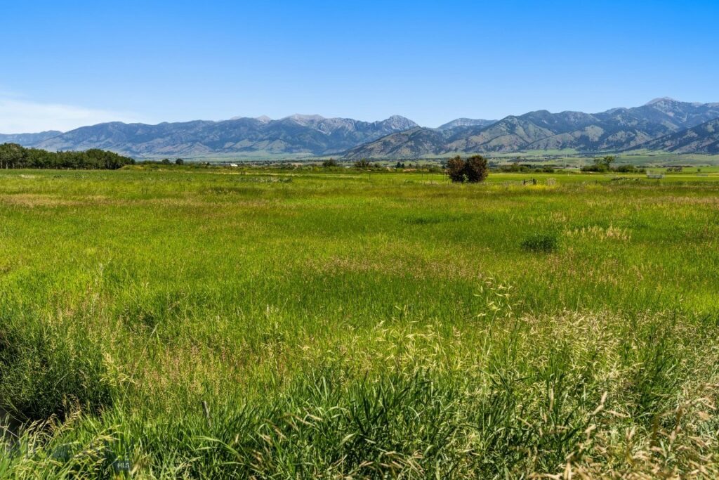 TBD Kimberwicke Street, Bozeman MT 59718