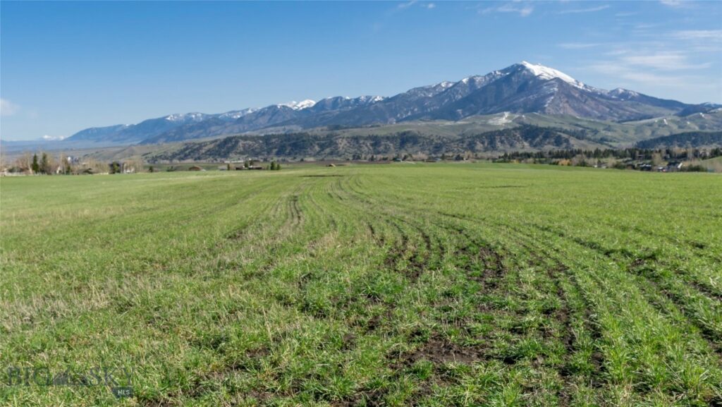 TBD Lot 19 Boreal Way, Bozeman MT 59718