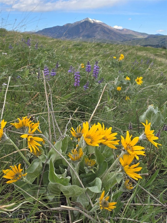 TBD Lot 5 Boreal Way, Bozeman MT 59718