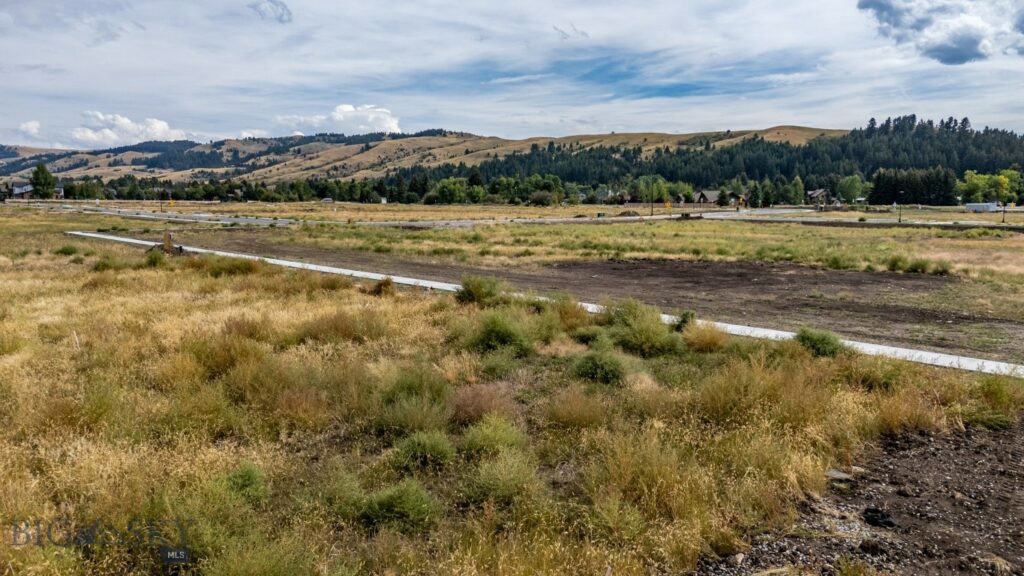 TBD Maiden Spirit Street, Bozeman MT 59715