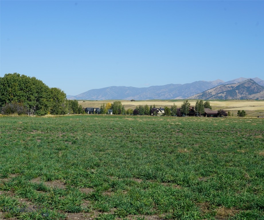 TBD Manley, Bozeman MT 59715