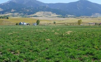 TBD Manley, Bozeman MT 59715