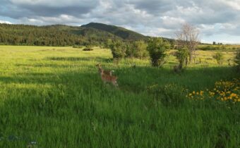 TBD Mount Ellis Lane, Bozeman MT 59715
