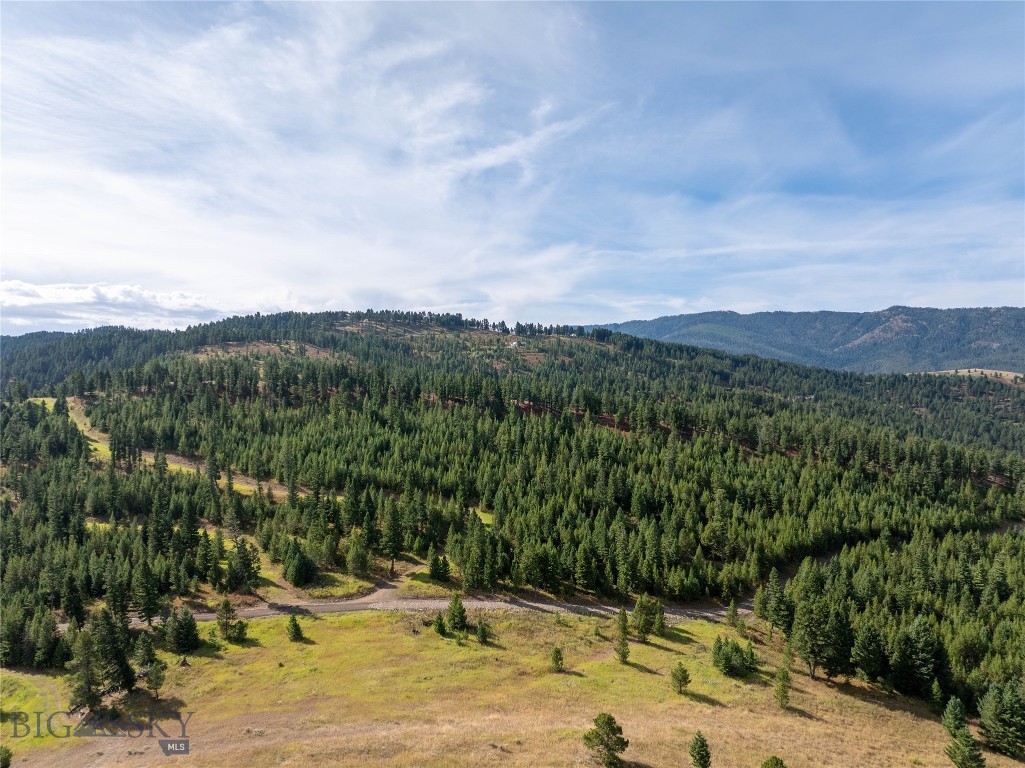 TBD Parcel 2 Woodchuck Road, Bozeman MT 59715