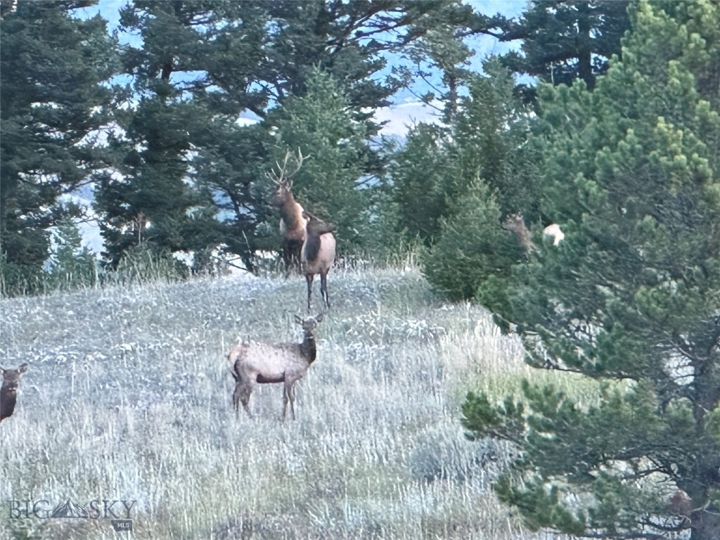 TBD Parcel 2 Woodchuck Road, Bozeman MT 59715