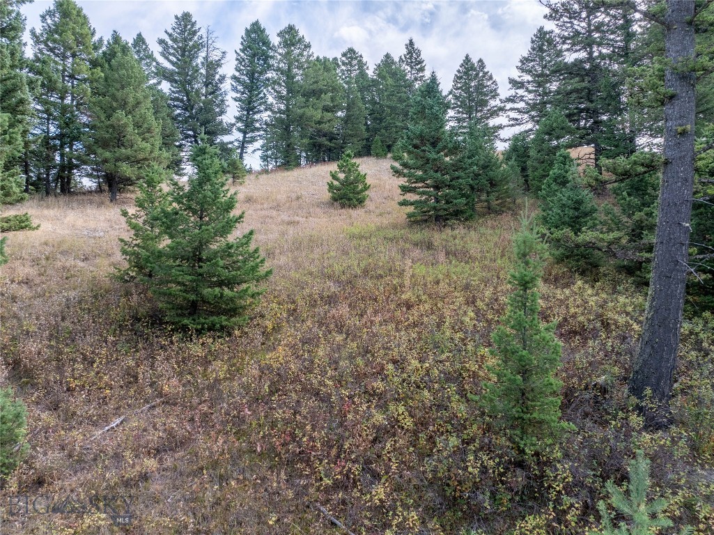 TBD Parcel 2 Woodchuck Road, Bozeman MT 59715