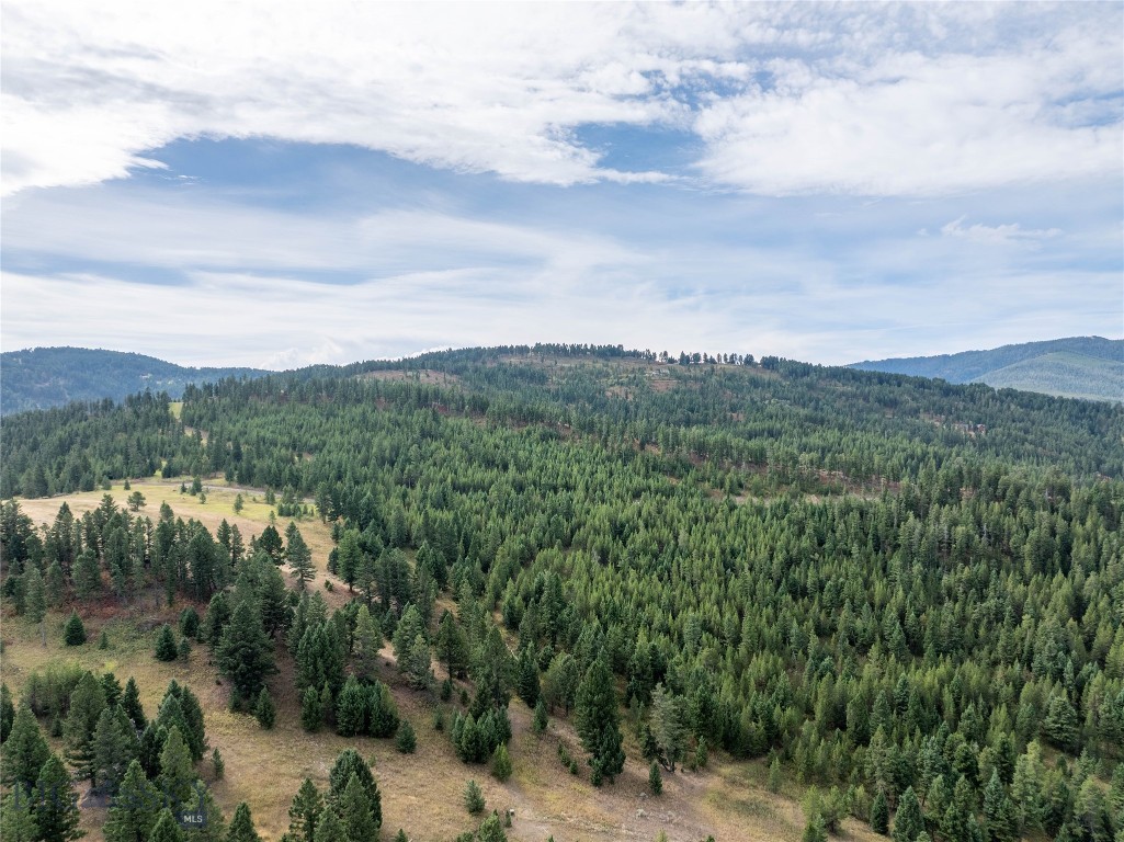 TBD Parcels 1 & 2, Woodchuck Road, Bozeman MT 59715