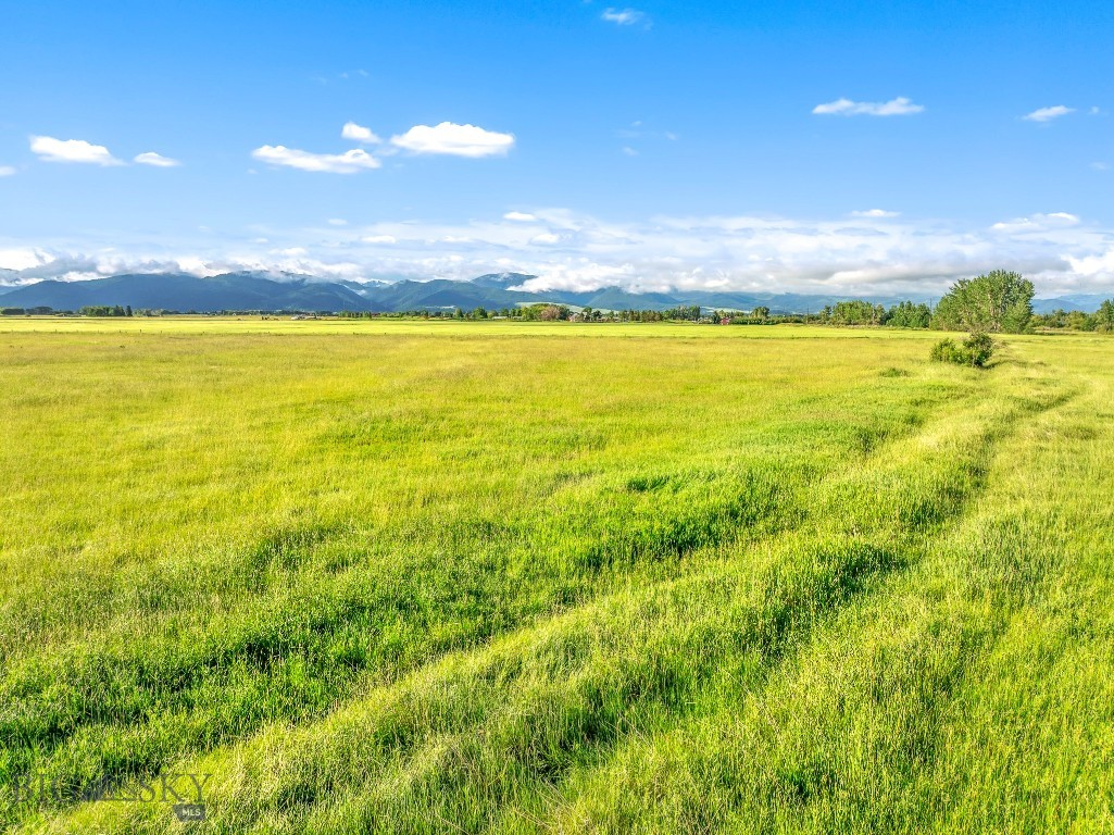 TBD S. Cottonwood Road, Bozeman MT 59718