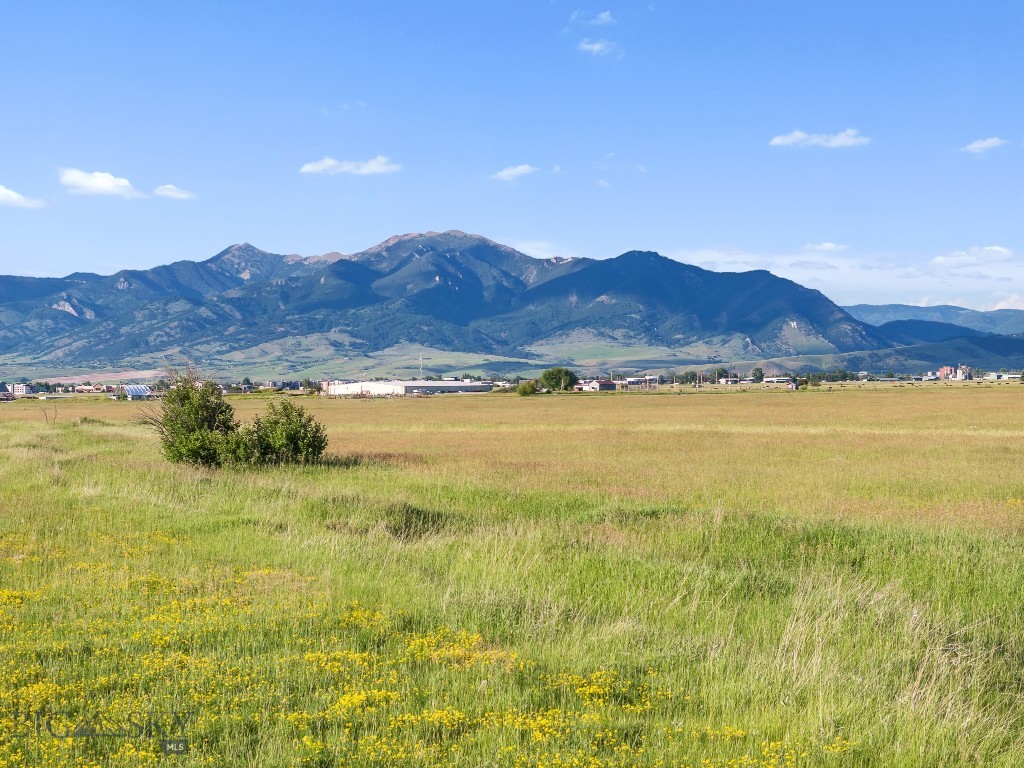 TBD S. Cottonwood Road, Bozeman MT 59718
