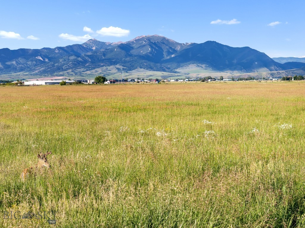 TBD S. Cottonwood Road, Bozeman MT 59718