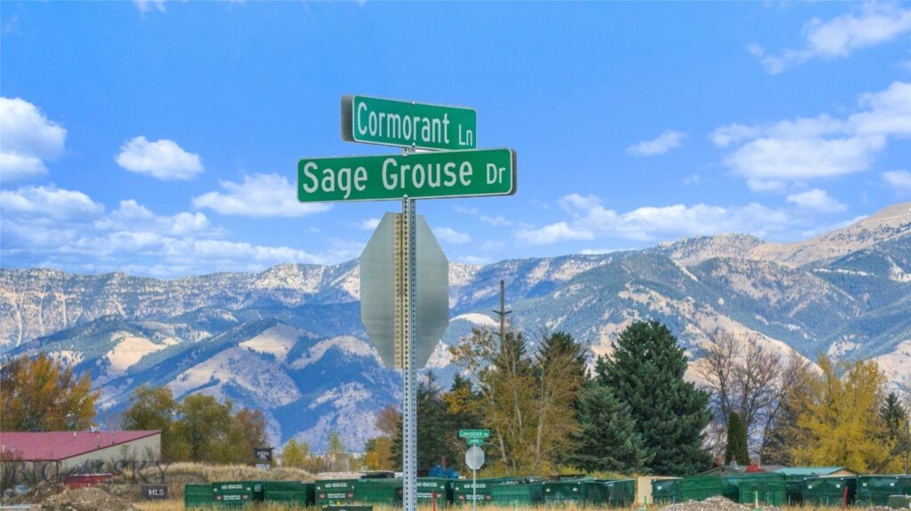 TBD Sage Grouse Drive, Bozeman MT 59718