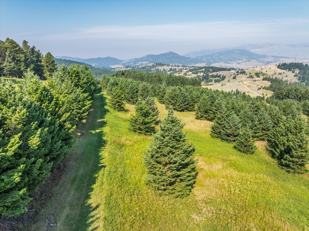 TBD Smokey Hollow, Bozeman MT 59715