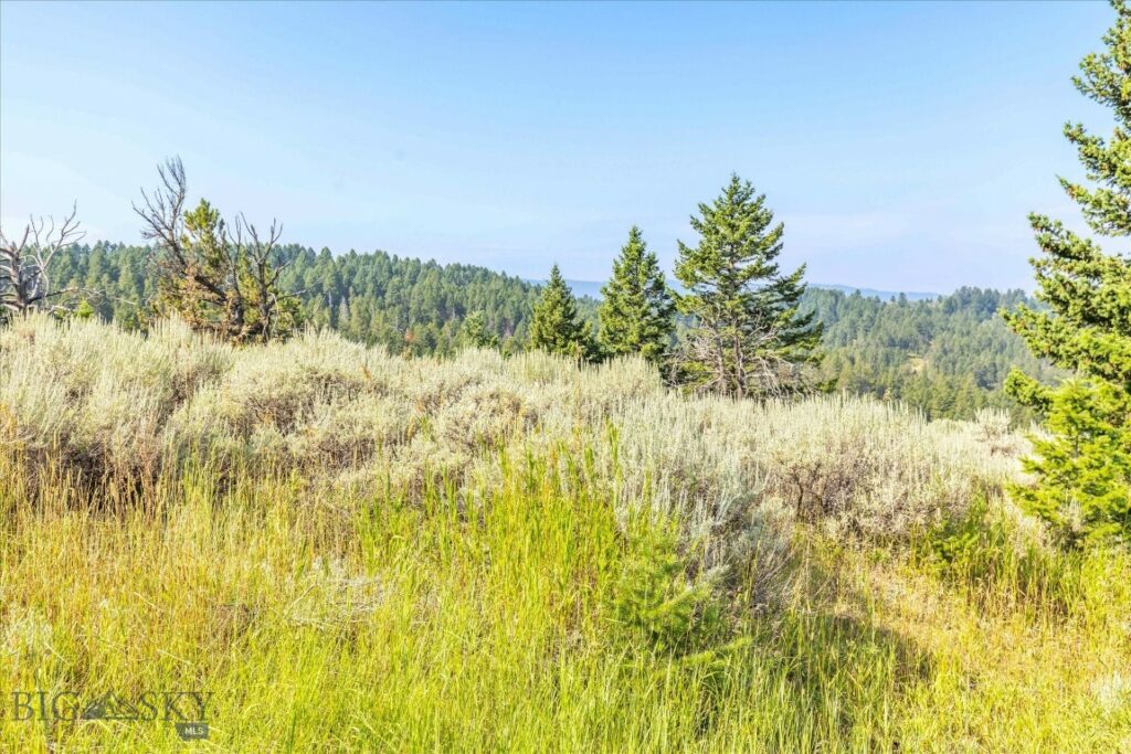 TBD Smokey Hollow, Bozeman MT 59715