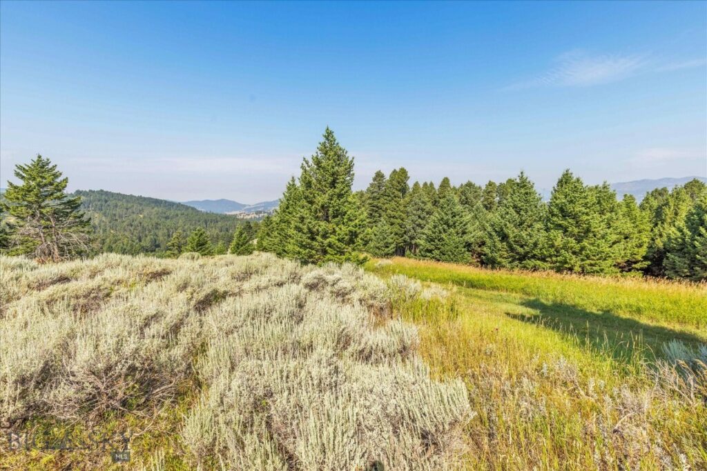 TBD Smokey Hollow, Bozeman MT 59715