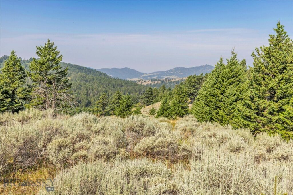 TBD Smokey Hollow, Bozeman MT 59715