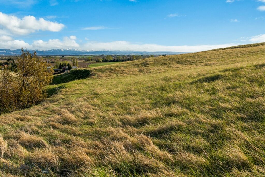 TBD Snowcat Drive, Bozeman MT 59715