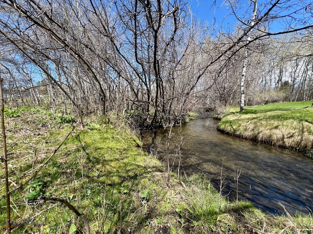 TBD Spring Creek Drive, Bozeman MT 59715