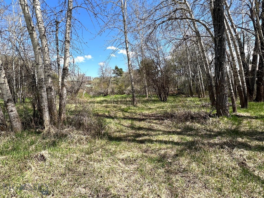 TBD Spring Creek Drive, Bozeman MT 59715
