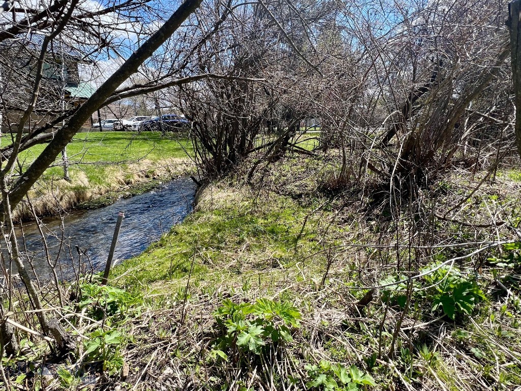 TBD Spring Creek Drive, Bozeman MT 59715