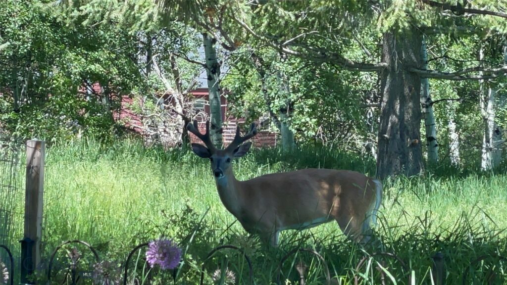 TBD Spring Creek Drive, Bozeman MT 59715