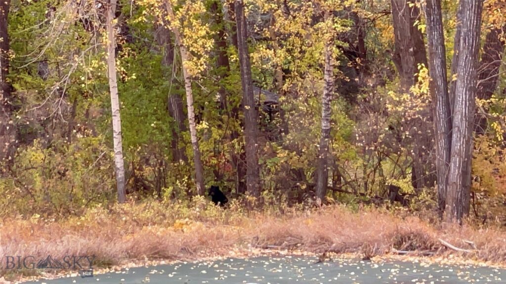 TBD Spring Creek Drive, Bozeman MT 59715