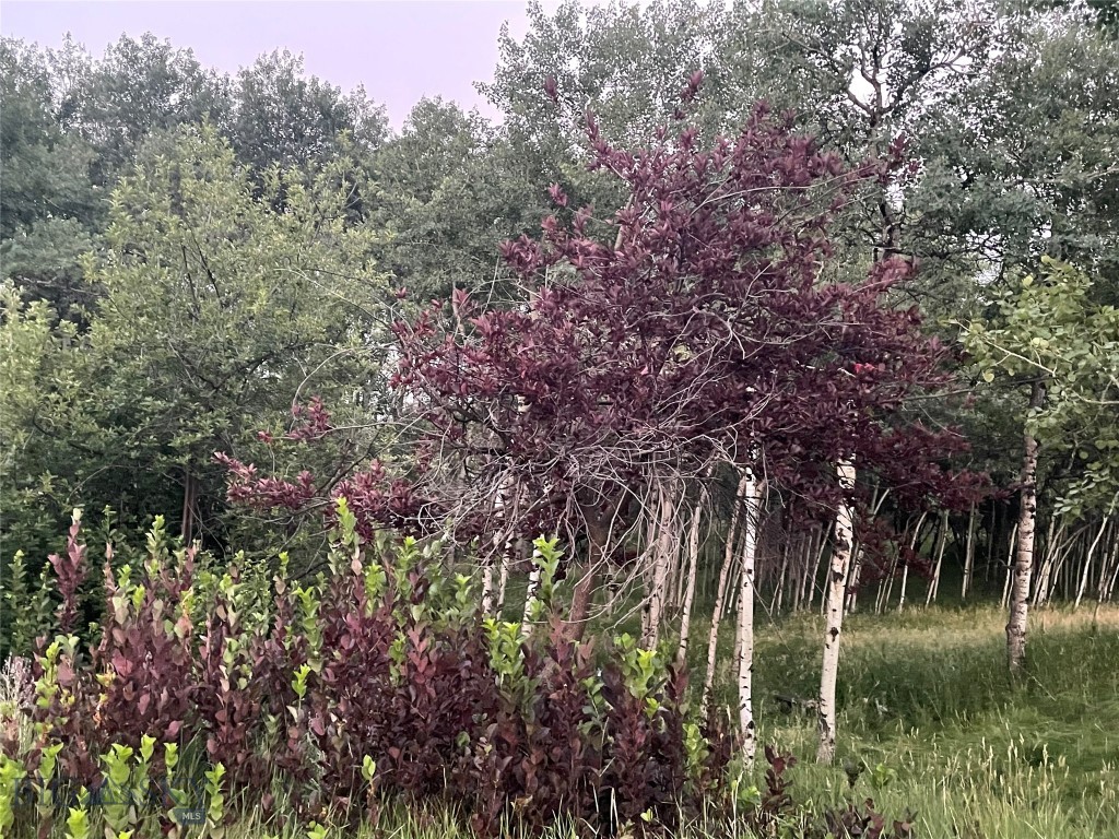 TBD Spring Creek Drive, Bozeman MT 59715