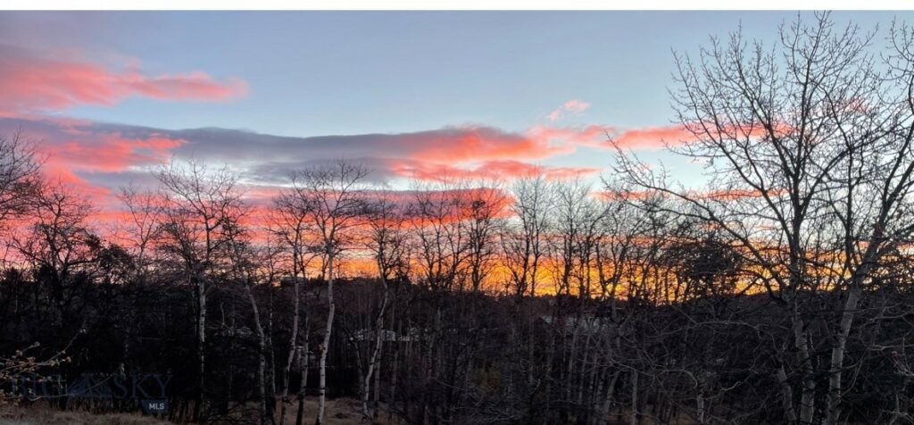 TBD Spring Creek Drive, Bozeman MT 59715
