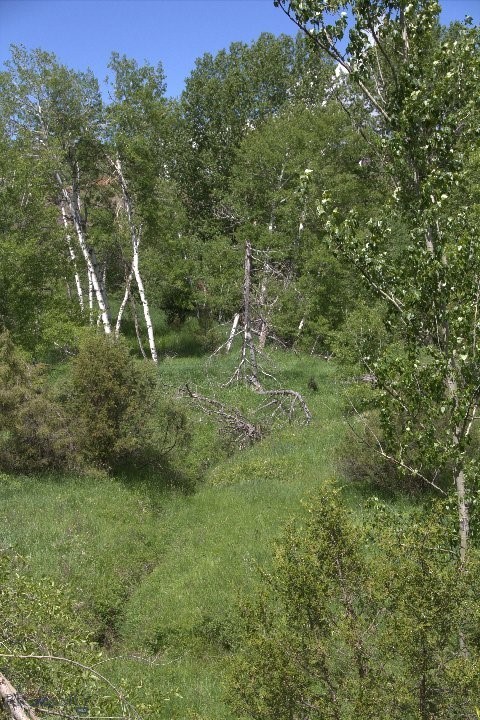 TBD Sunrise Ridge Trail, Bozeman MT 59718