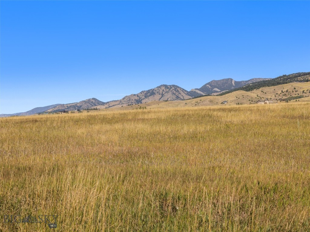 TBD Valley Ridge, Bozeman MT 59715