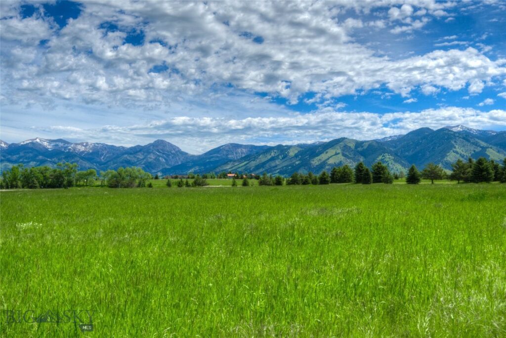 TBD Wavy Leaf, Bozeman MT 59718