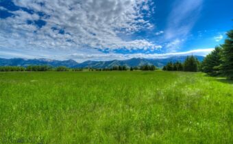 TBD Wavy Leaf, Bozeman MT 59718