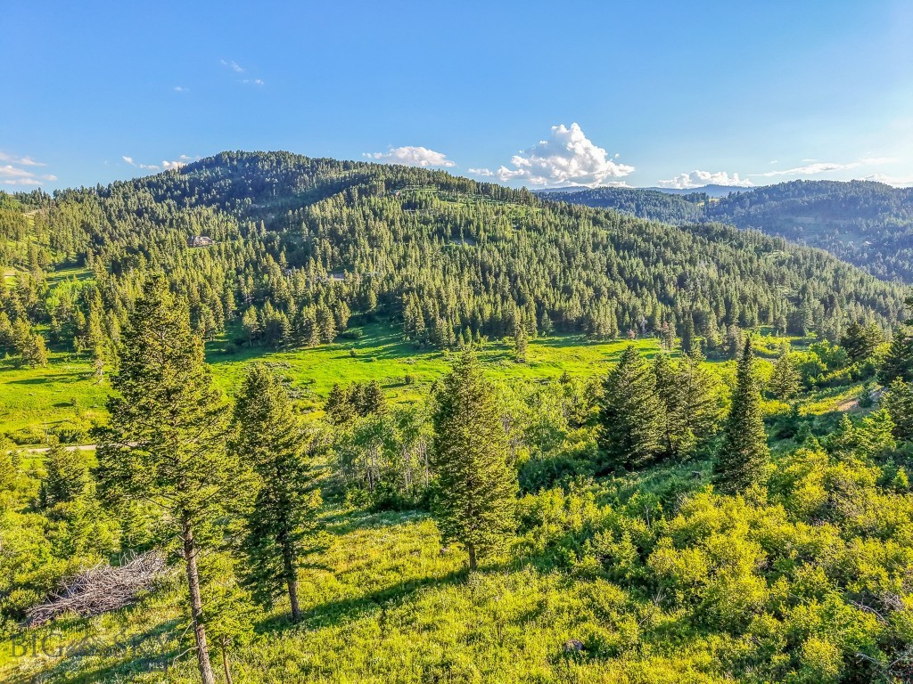 TBD Woodchuck Road, Bozeman MT 59715